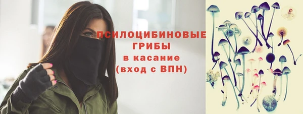 крисы Балахна