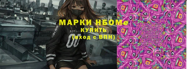 крисы Балахна