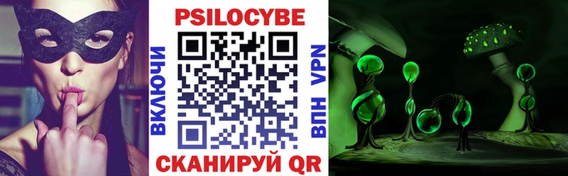 Галлюциногенные грибы Psilocybine cubensis  Верея 